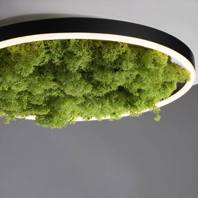 neuhaus-lighting-green.1